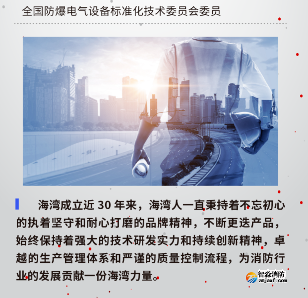 1657956716188624.png image.png