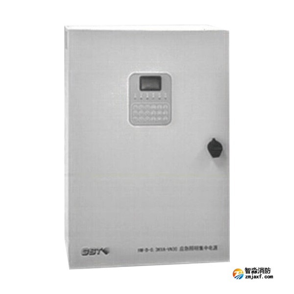 海灣HW-D-0.3KVA-VN30應(yīng)急照明集中電源(消防應(yīng)急燈具專用應(yīng)急電源)