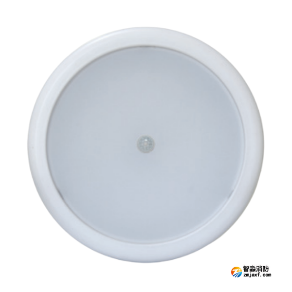 海灣HW-ZFJC-E12W-N653HW集中電源集中控制型消防應(yīng)急照明燈具