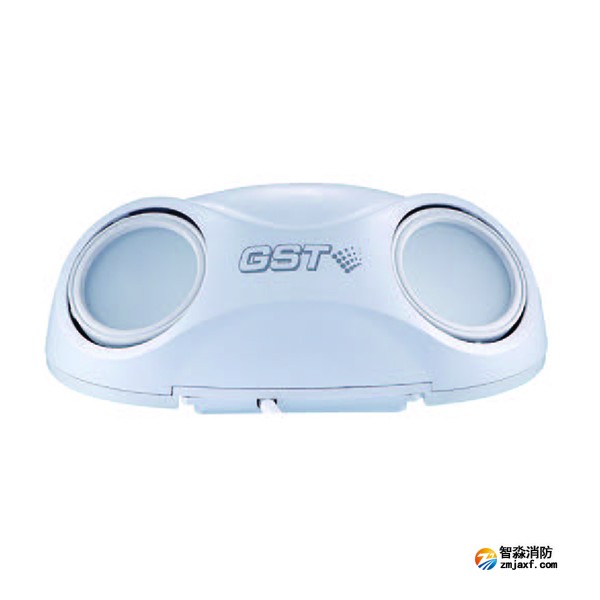 海灣HW-ZFJC-E3W-SN660集中電源集中控制型消防應(yīng)急照明燈具